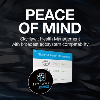 Seagate SkyHawk 4TB Surveillance SATA III 3.5" Internal Hard Drive - CMR Recording Technology with 256MB Cache